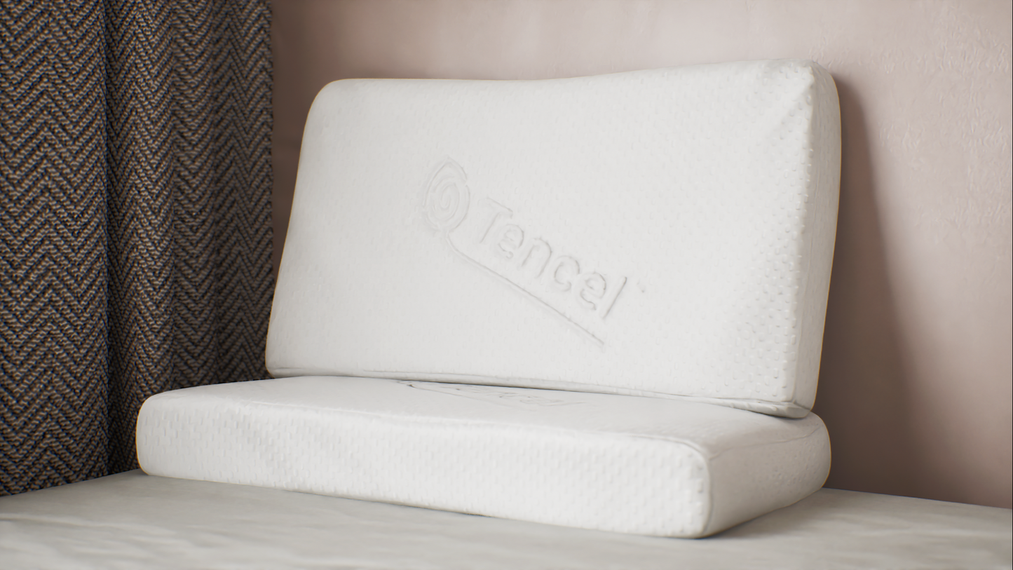 SG60 SPECIAL Ekohome Trigon Pillow