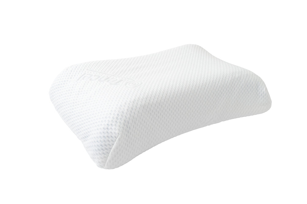 
                  
                    SG60 SPECIAL Ekohome Trigon Pillow
                  
                